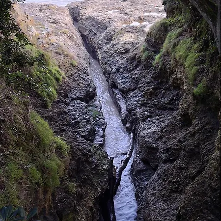 Sous Le Marronnier - Maison Pour 4 Avec Jardin